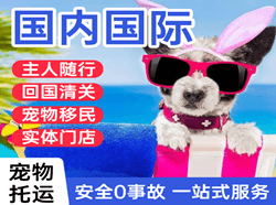 东营胜利空运国际宠物托运 【国